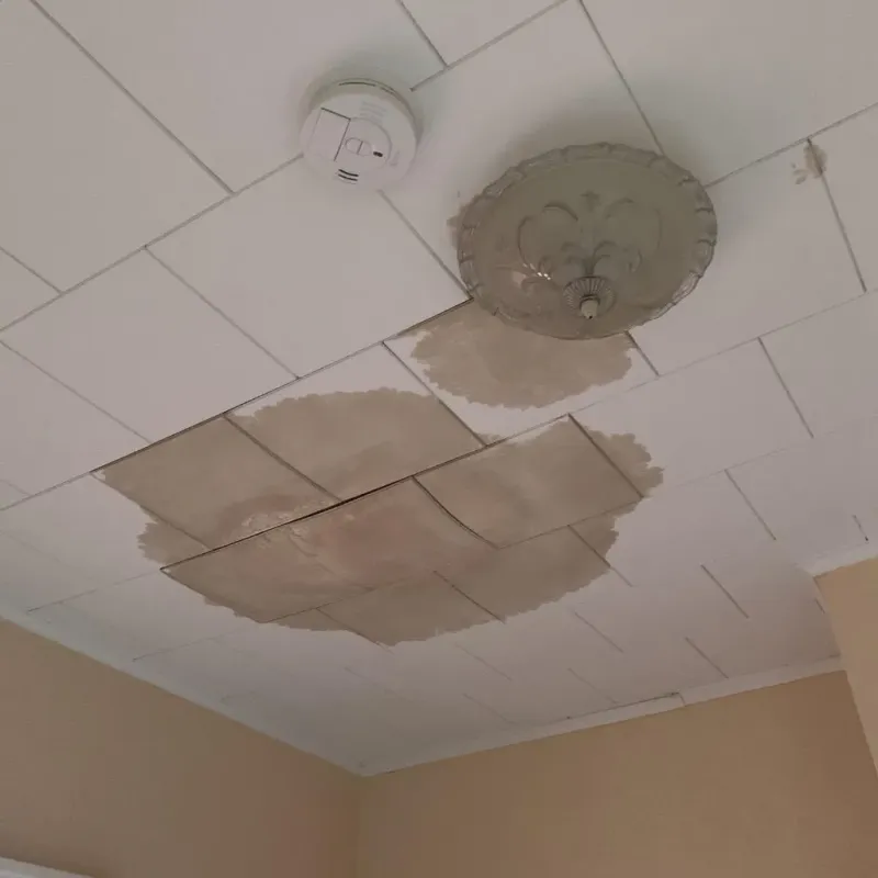 Ceiling Water Damage Repair in North Webster, IN
