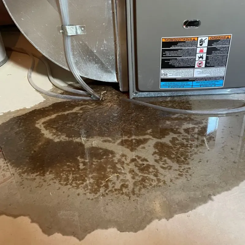 Pipe Burst and Leak Restoration in North Webster, IN