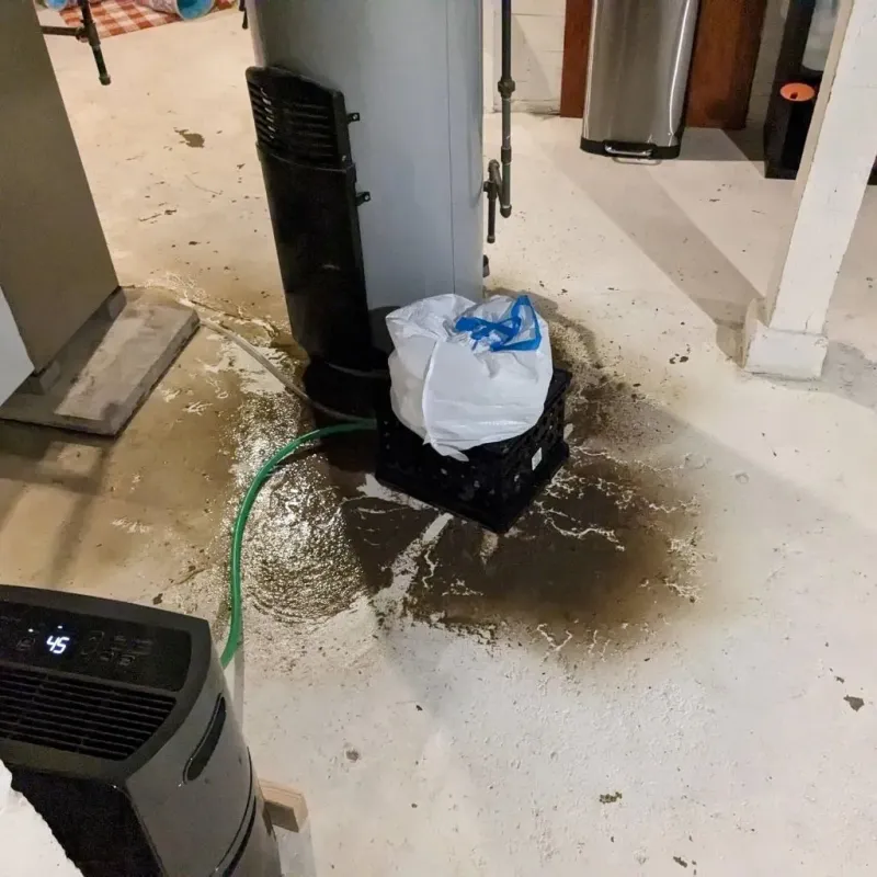 Sewage Backup Cleanup Service in North Webster, IN